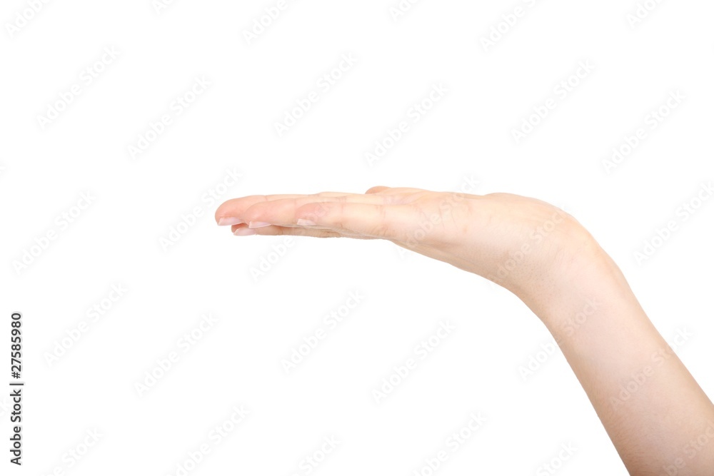 Hand with free space (white background) Hand with free space (white background)