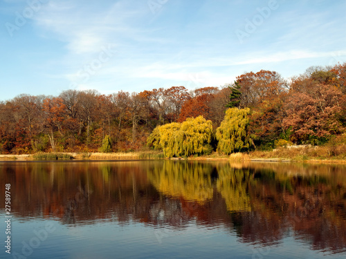 landscape of  the river with trees on the sunny late autumn day © NAN