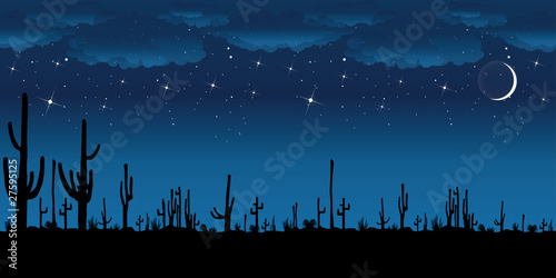 Saguaro Cactus at night. Vector background.