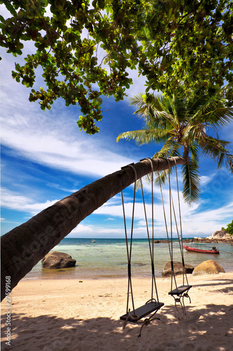 Swing on a tropical beach
