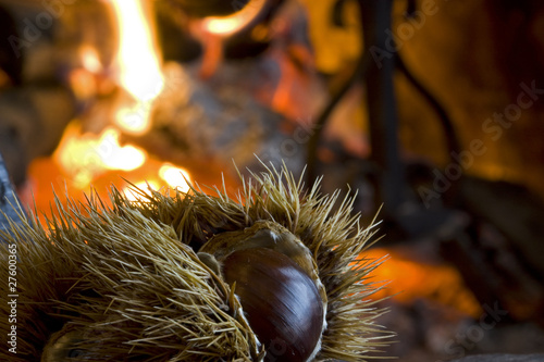 Castagna e fuoco