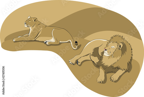 lions