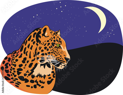 leopard