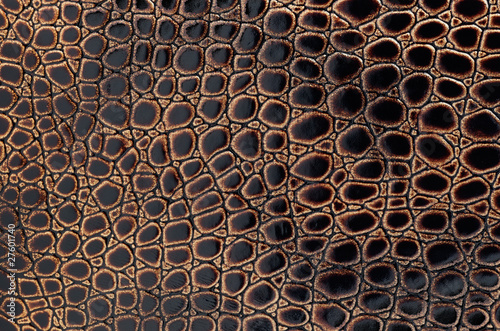 exotic leather texture