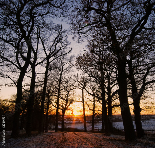 Winter Sunset © nigdaw