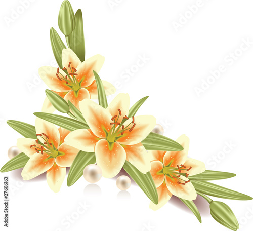 Fototapeta Naklejka Na Ścianę i Meble -  Lily flowers