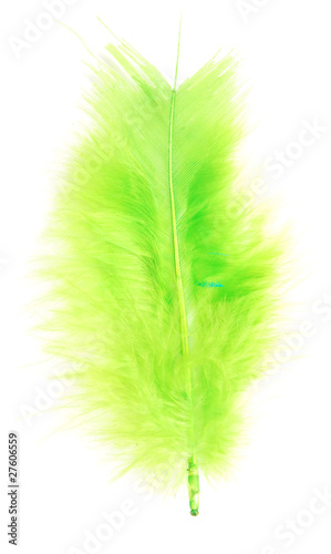 green feather