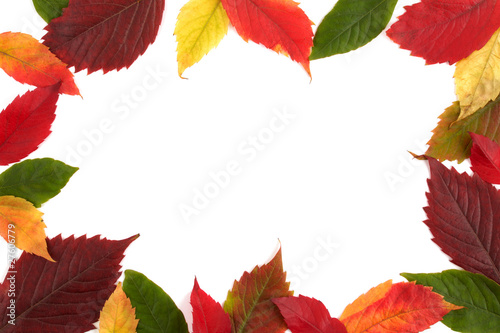 Colorful Autumn Framing