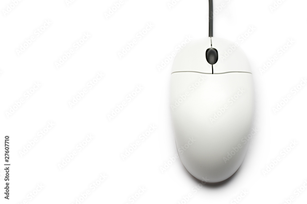 Computer mouse isolated on the white background Computer mouse isolated on the white background