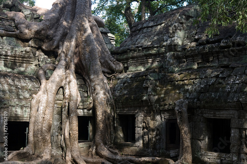 Tree roots Angkor Temple Ruins