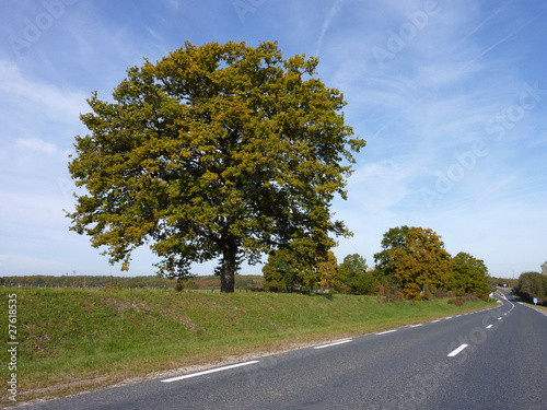 Bord route