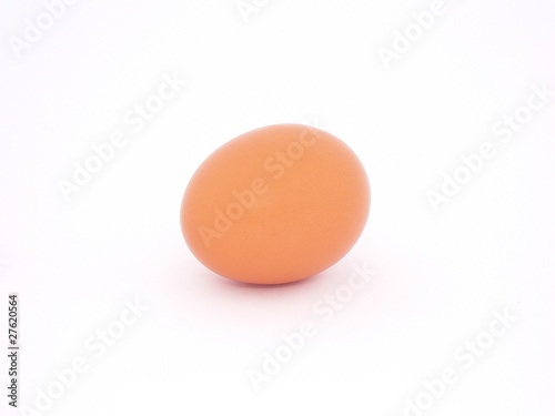 A brown egg on white 01