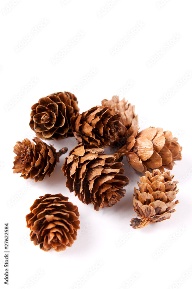 Weihnachtsdeko Zapfen Natur Tannenbaum Tannenzapfen Weihnachtsdeko Zapfen Natur Tannenbaum Tannenzapfen