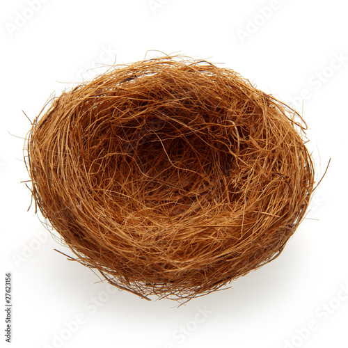 Empty nest photo