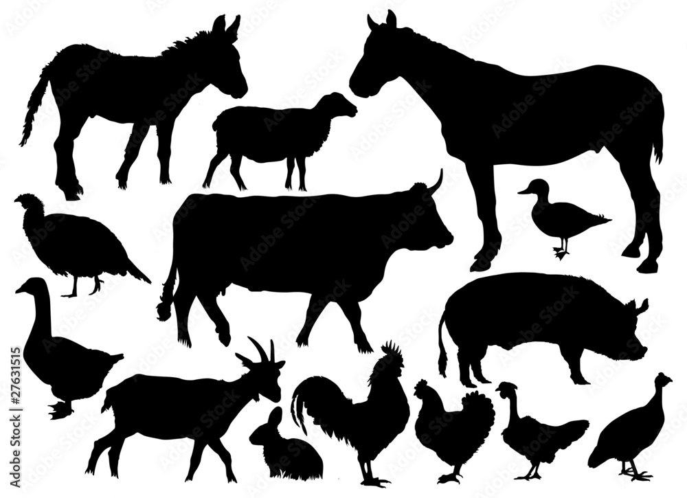Les animaux de la ferme