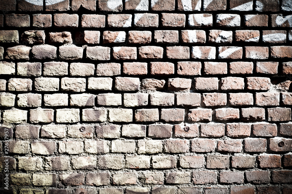 Fototapeta premium wall texture