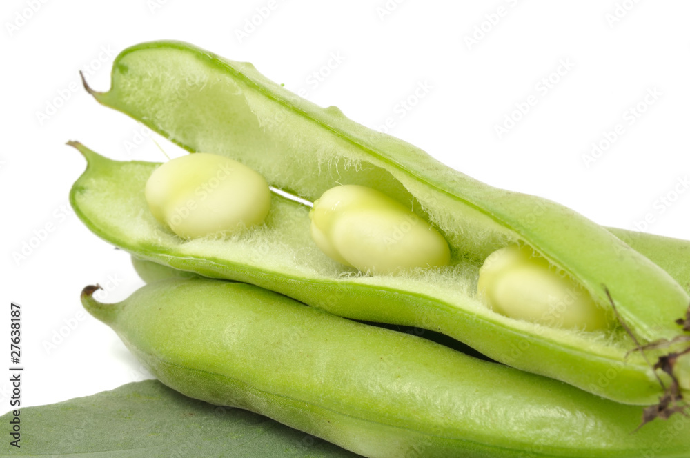 Broad Beans on White Background