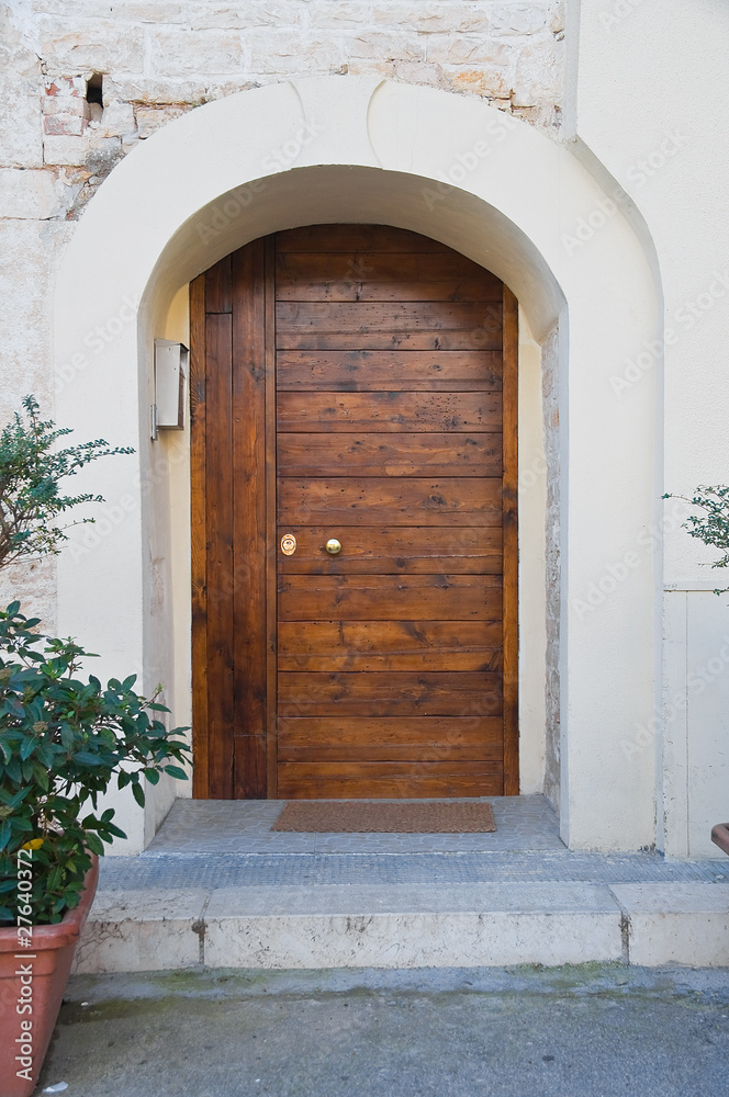 Fototapeta premium Wooden door.