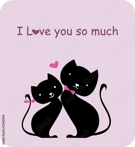 two cat in love