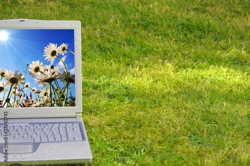 laptop and flower