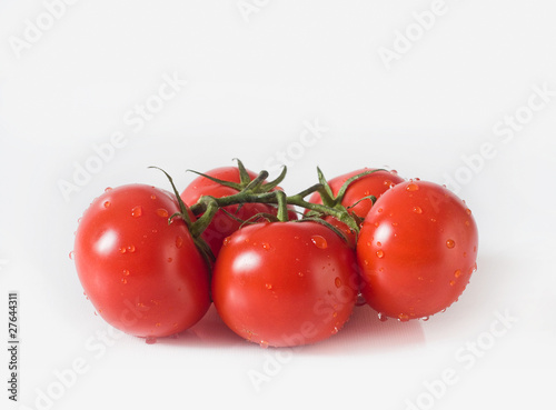 tomates grappe photo