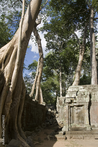 Banyan Tree over wall, Angkor