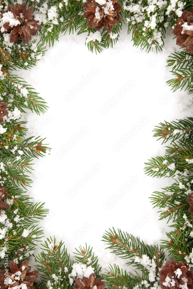 Christmas framework with snow and cones Christmas framework with snow and cones