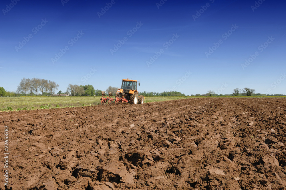 Fototapeta premium labour