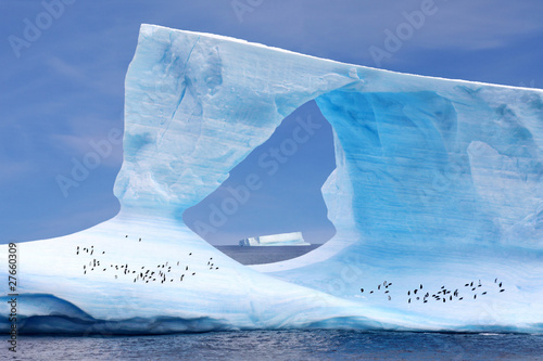 Eisberg mit Pinguinen - Iceberg w/ Penguins