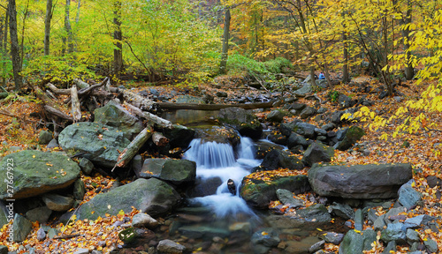 Tablou canvas Autumn creek