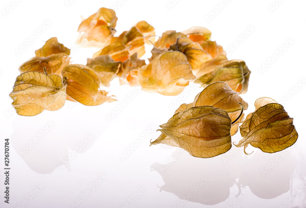 Fototapeta premium Ripe cape gooseberry (physalis) on a white background