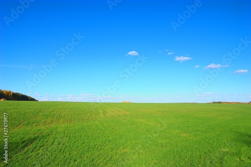 Green field with stack