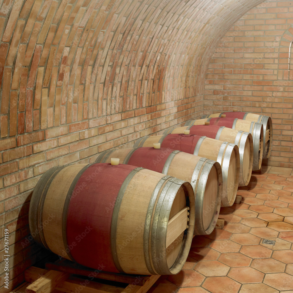wine cellar, Czech Republic
