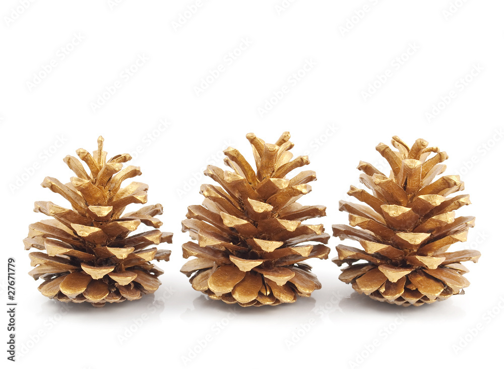 gold pine cones