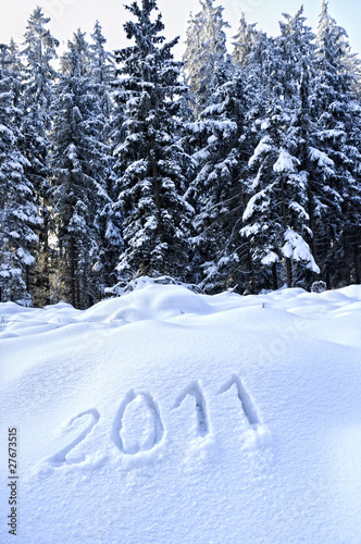 Photography 2011 im Winterwald