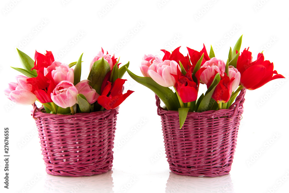 Baskets colorful tulips