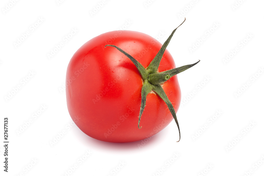 Obraz premium Pomidor
