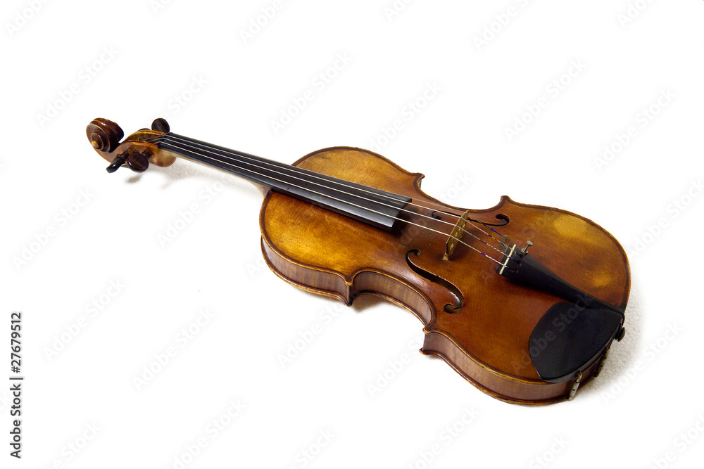 Fototapeta premium violin