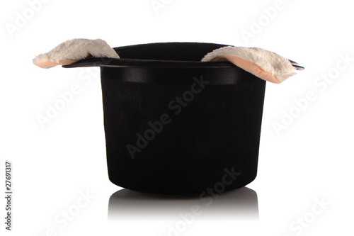 rabbit in a hat