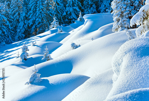 Fototapeta Snowdrifts on winter snow covered mountainside
