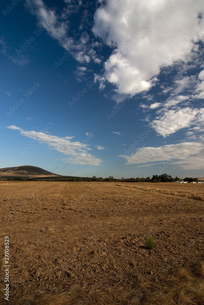 Big open field Big open field