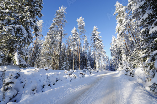 swedish winter scenery