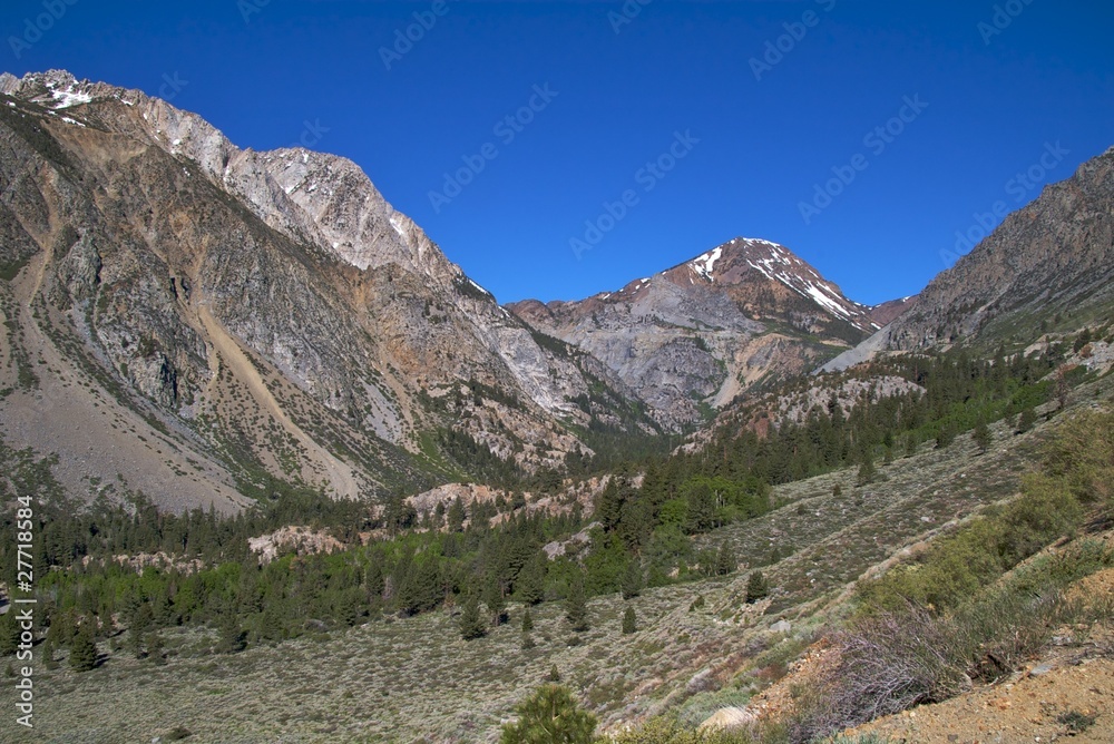 The alpine landscape along the Tioga Pass Road, Yosemite NP