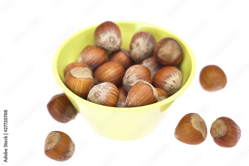 hazelnuts in a bowl isolated on white hazelnuts in a bowl isolated on white