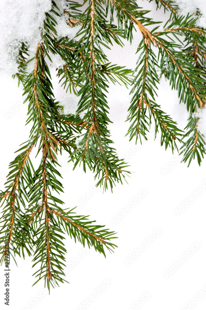 Obraz premium Winter background on a theme of Christmas and New year