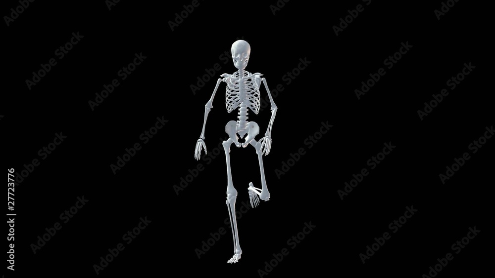 Skeleton Running Skeleton Running
