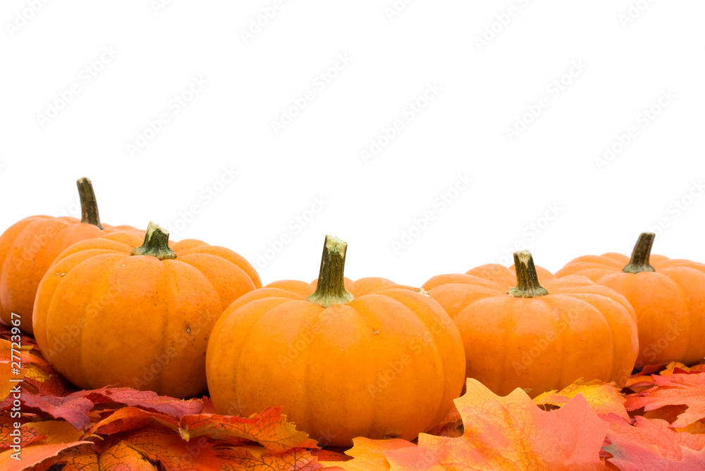 Fall Leaves