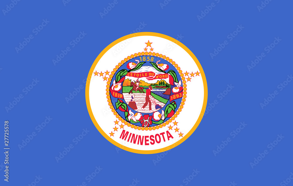 Minnesota state flag