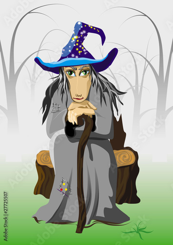 witch sitting on the forest field