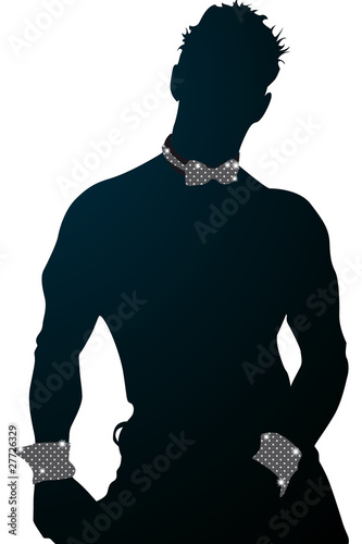Vector chippendale